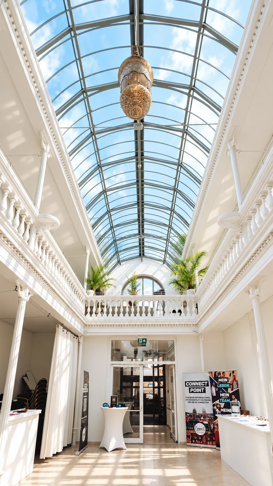 Blick durch das Palmenhaus unter dem gewölbten Glasdach.